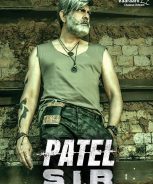 Patel S. I. R (2022) Patel S. I. R (2022)