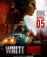 White Rose (2024) White Rose (2024)